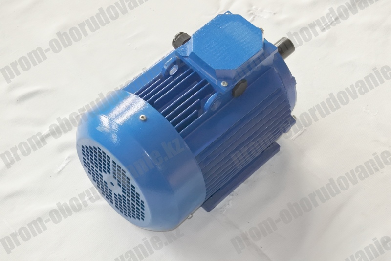 Электродвигатель АДМ 100 L8 (1,5 кВт, 750 об/мин)