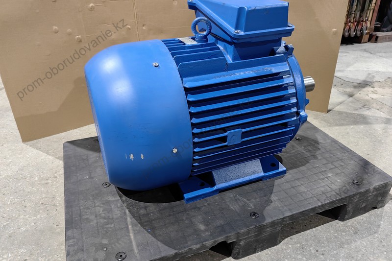 Электродвигатель 5АМ315MA8 (110/750)